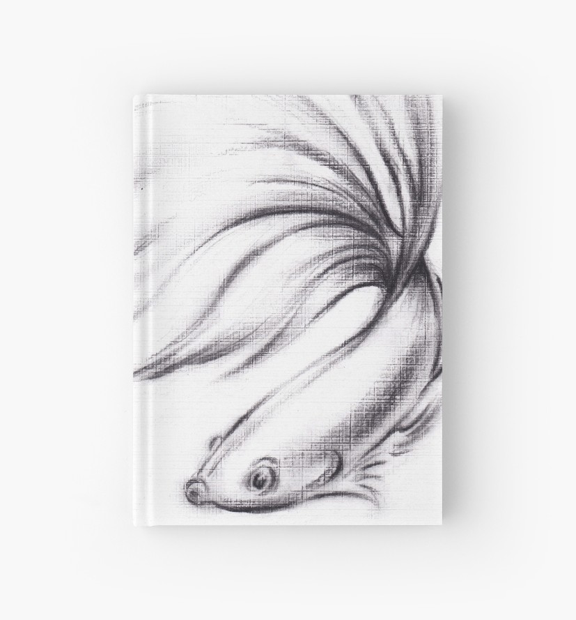 827x889 Betta - Fish Pencil Drawing