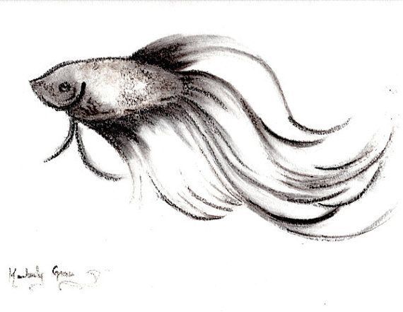 20 New For Easy Fish Pencil Drawing Images Art Gallery