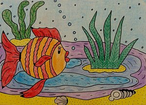 300x216 Fish Pond Drawings - Fish Pond Drawing