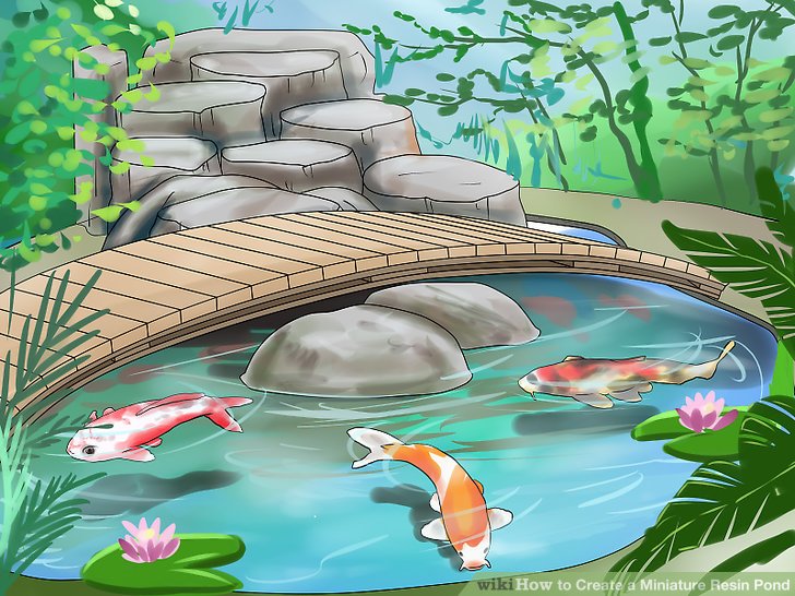Fish Pond Drawing at Explore collection of Fish