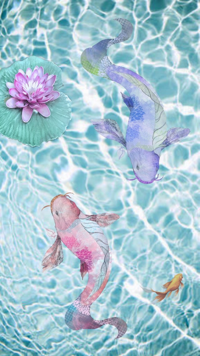 639x1136 Water Fish Pond Water Drawing Pink Blue Purple Lily - Fish Pond Drawing