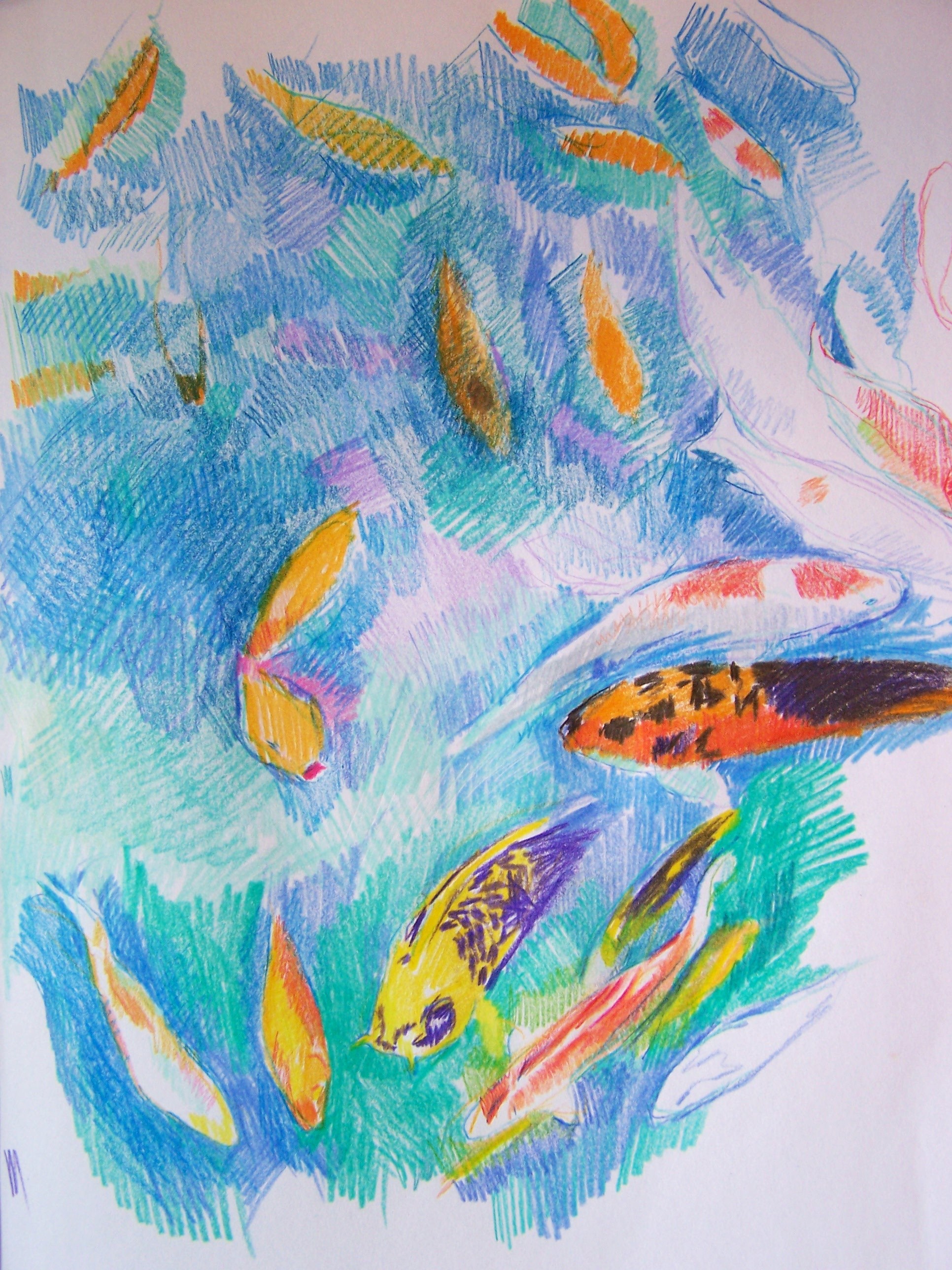 1932x2576 Drawing Lessons From The Koi Pond Aletha Kuschan's Weblog - Fish Pond Drawing