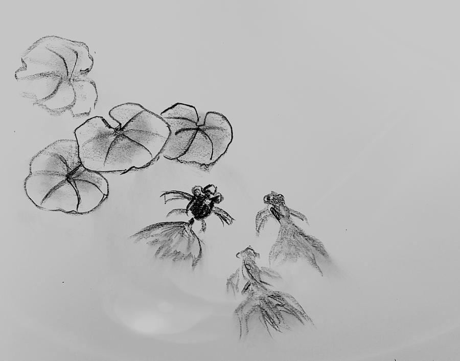 900x706 Fish Pond Drawing - Fish Pond Drawing