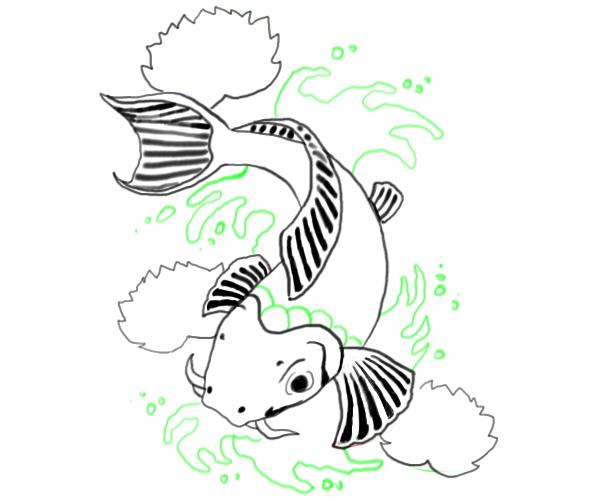 600x500 Koi Fish Drawings - Fish Scales Drawing