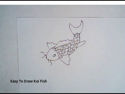 480x360 Easy To Draw Koi Fish - Fish Simple Drawing