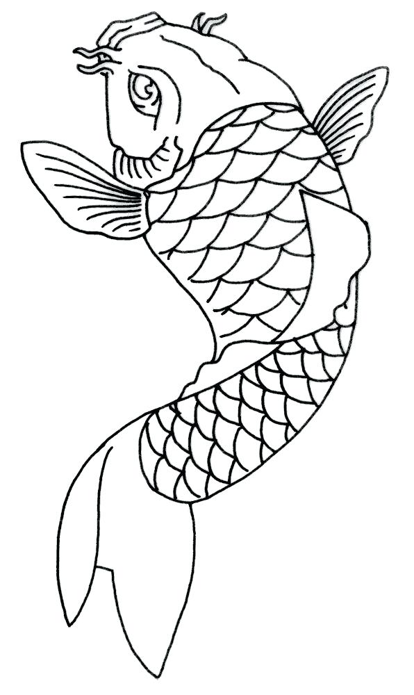 596x1000 fish outline best fish images on fish outline fish simple drawing - Fish Simple Drawing