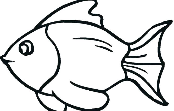 665x425 simple drawing fish simple drawing of a fish simple drawing - Fish Simple Drawing