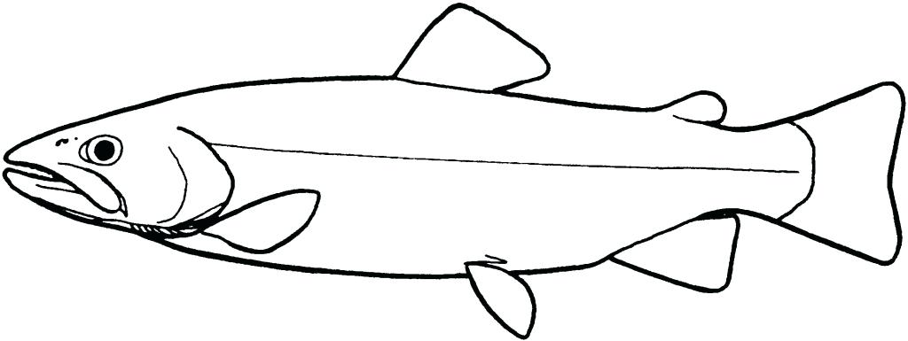 1024x385 Simple Fish Drawing How To Draw A Cartoon Fish For Kids Simple - Fish Simple Drawing