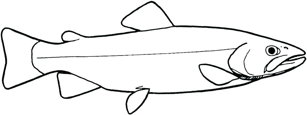 1024x385 Simple Fish To Draw Simple Koi Fish Drawing - Fish Simple Drawing