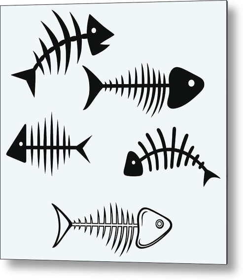 493x569 Fish Skeleton Metal Print - Fish Skeleton Drawing