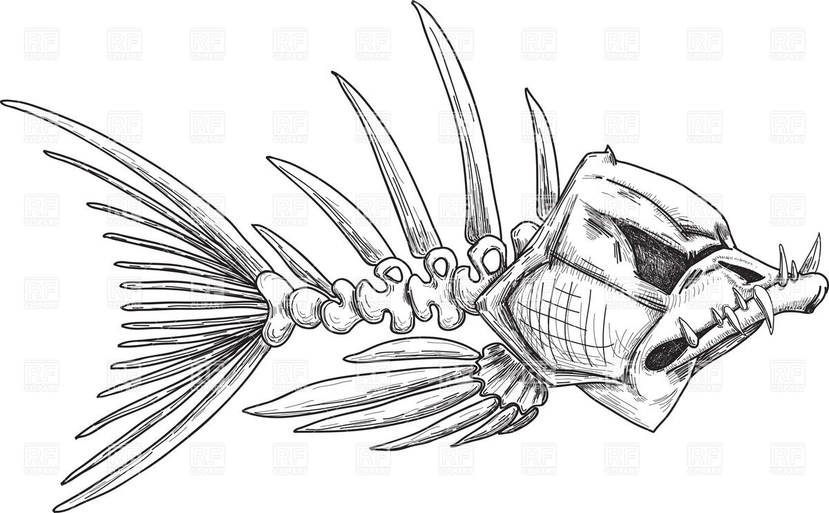 1200x742 Sketch Of Evil Fish Skeleton With Sharp Crooked Teeth Vector Image - Fish Skeleton Drawing