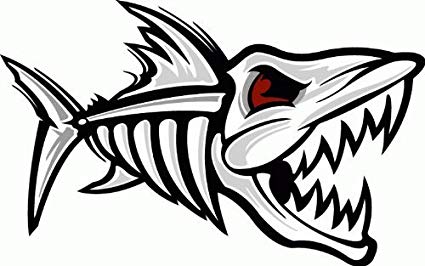 425x266 Fish Skeleton Shark Car Bumper Sticker Decal - Fish Skeleton Drawing