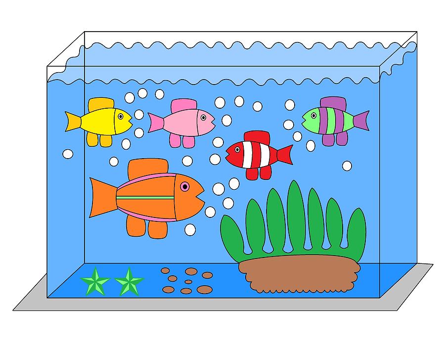 900x694 Fish Tank Drawing - Fish Tank Drawing