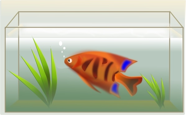 598x372 Fish Tank Clip Art Free Vector In Open Office Drawing - Fish Tank Drawing