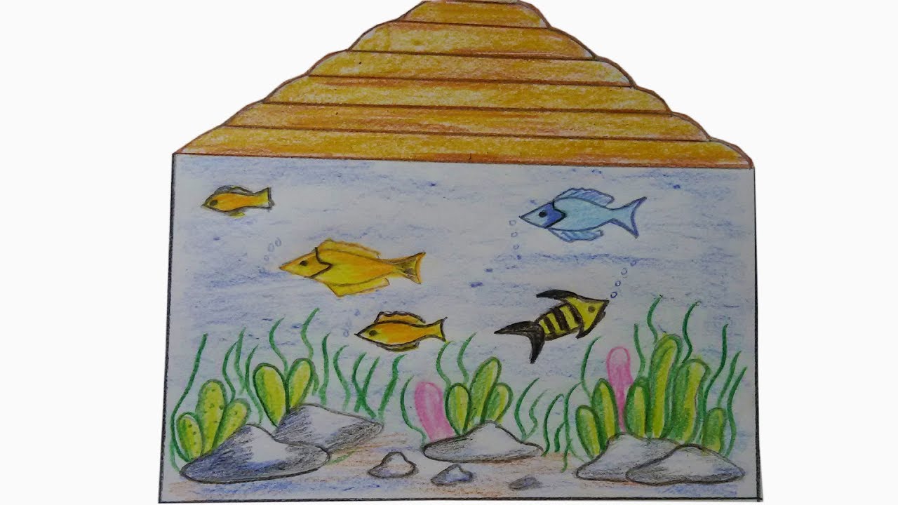 1280x720 How To Draw Aquarium Learn How To Draw A Fish Tank - Fish Tank Drawing