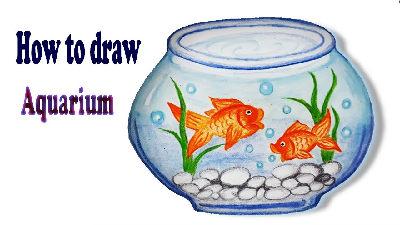 1280x720 How To Draw Aquarium Step - Fish Tank Drawing