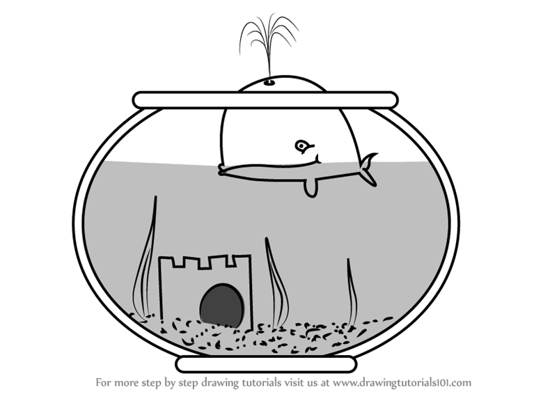 800x566 Learn How To Draw A Fish Tank - Fish Tank Drawing