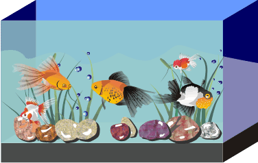 376x238 Create Aquarium In Corel Draw Corel Draw Tutorial And Free Vectors - Fish Tank Drawing