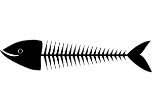 300x221 Fishbone Diagram - Fishbone Drawing
