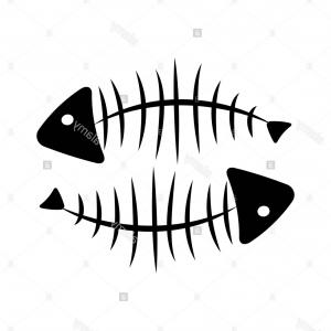 300x300 Stock Illustration Fish Bone Fish Skeleton Brown Soidergi - Fishbone Drawing