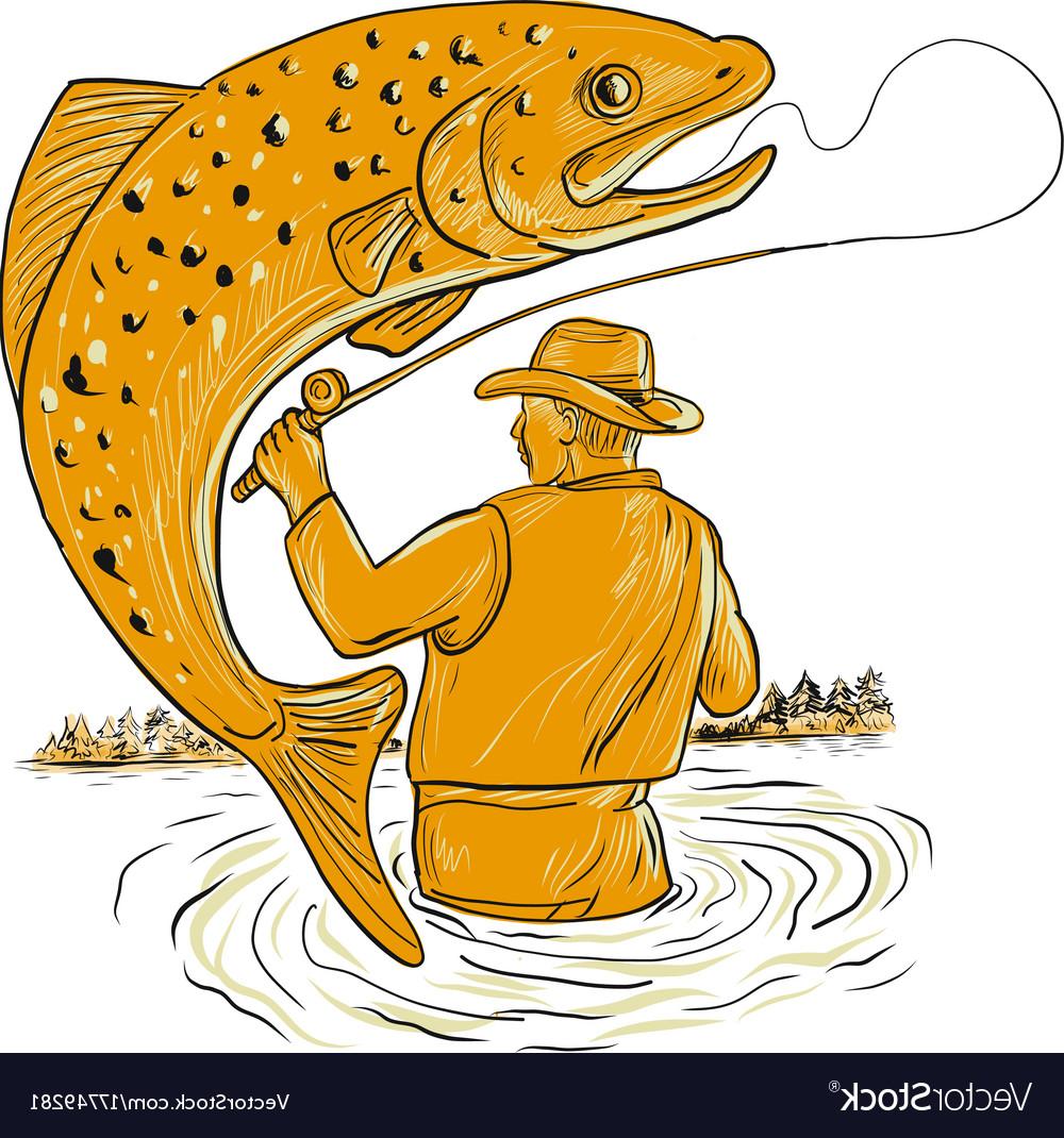 1000x1070 Top Fly Fisherman Reeling Trout Drawing Vector Design - Fisherman Drawing