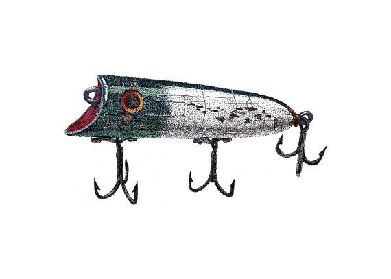 570x407 armadillo drawing print, armadillo art, armadillo, wildlife art - Fishing Lure Drawing