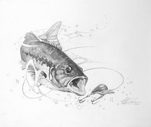 Fishing Lure Drawing at PaintingValley.com | Explore collection of