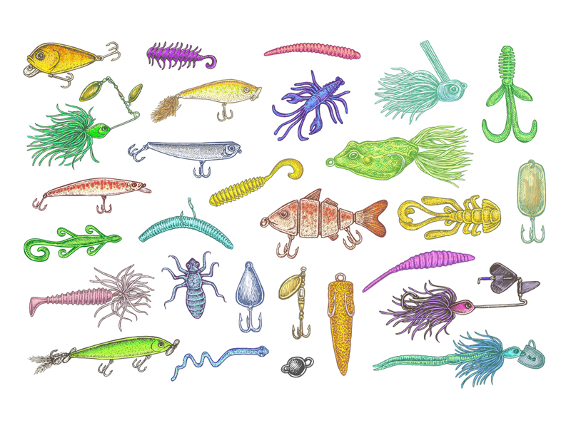800x600 fishing lures - Fishing Lure Drawing
