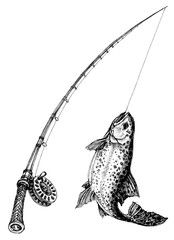 174x240 fishing rod and fish isolated fly fishing fish drawings - Fishing Rod Drawing