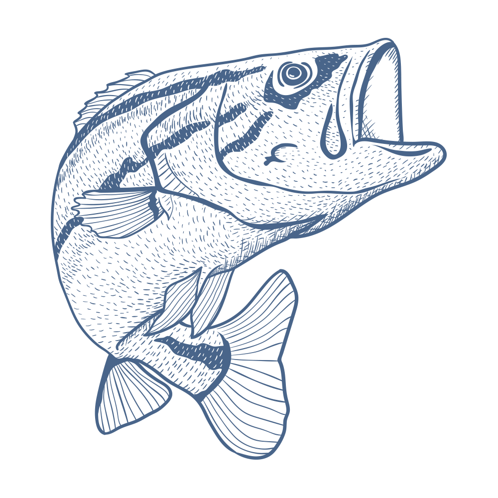 1000x1000 rod drawing sketch transparent png clipart free download - Fishing Rod Drawing