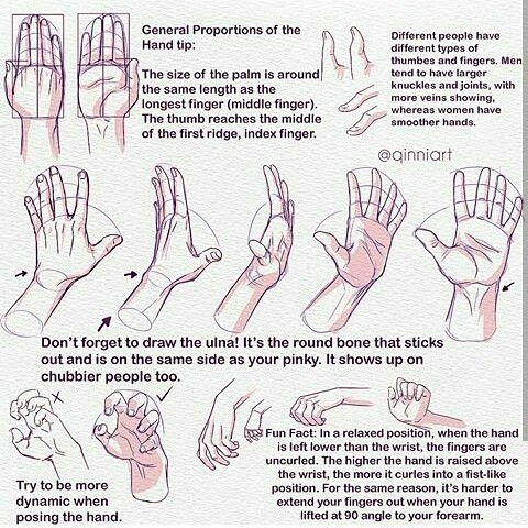 480x480 Hand Drawing Tutorial Tumblr - Fist Drawing Tutorial