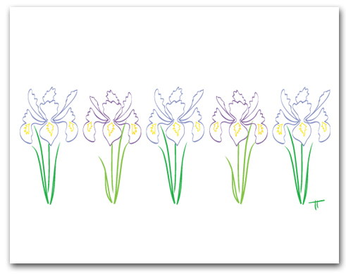491x389 Five Simple Line Drawing Flag Iris Row - Flag Line Drawing