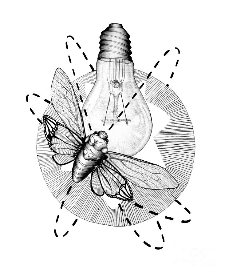 745x900 moth to the flame drawing - Flame Drawing