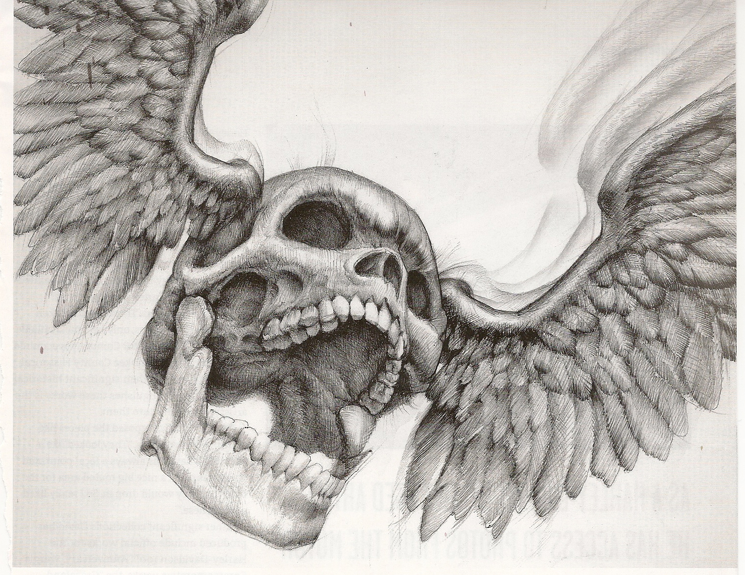 1520x1174 Philosfx Skulls, Flames, And Flaming Skulls And Skulls With Wings...