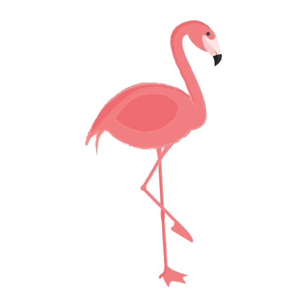 626x625 flamingo vectors, photos and free download - Flamingo Cartoon Drawing