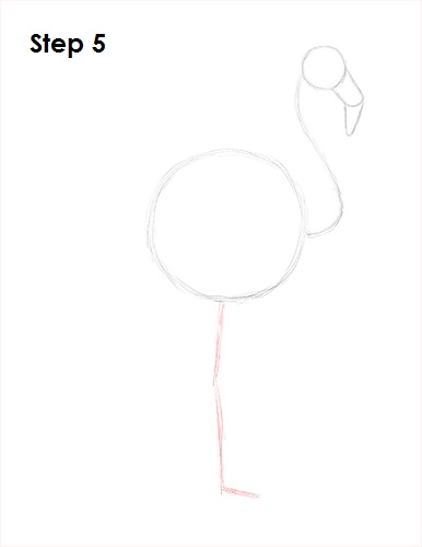 386x500 how to draw a flamingo - Flamingo Cartoon Drawing