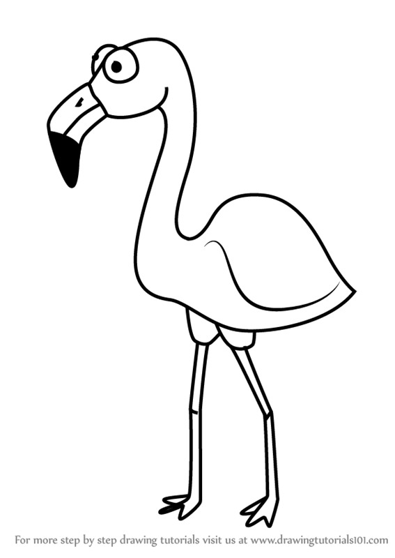 567x800 learn how to draw a cartoon flamingo - Flamingo Cartoon Drawing