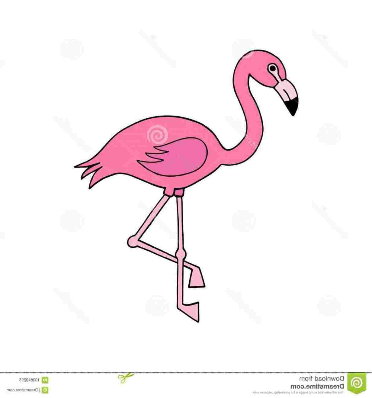 Flamingo Cartoon Drawing at Explore collection of