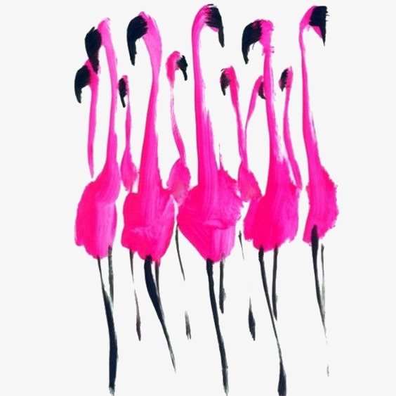 564x563 Drawing Flamingos, Flamingos, Cartoon Drawing, Group Png Image - Flamingo Cartoon Drawing