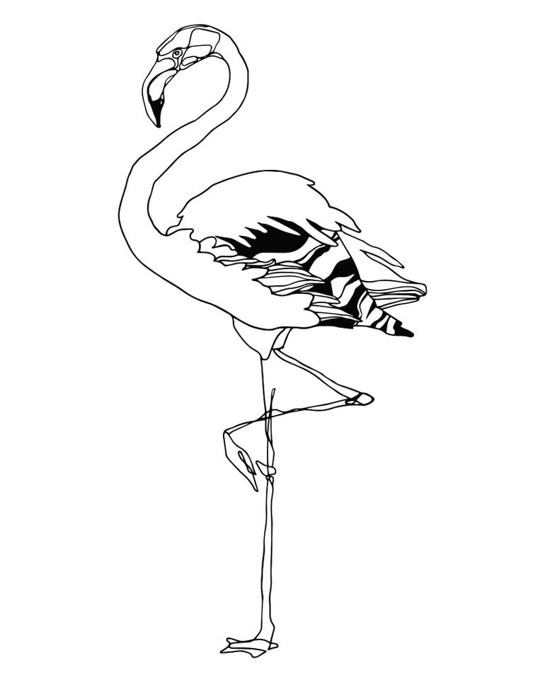 770x963 Flamingo Drawing - Flamingo Drawing