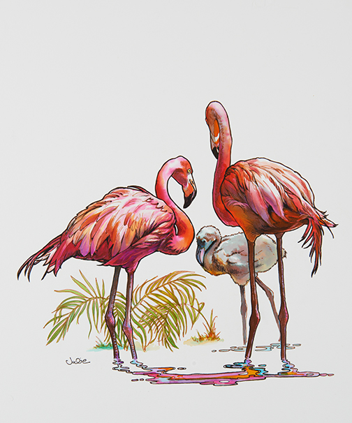 504x606 Flamingo Family - Flamingo Drawing
