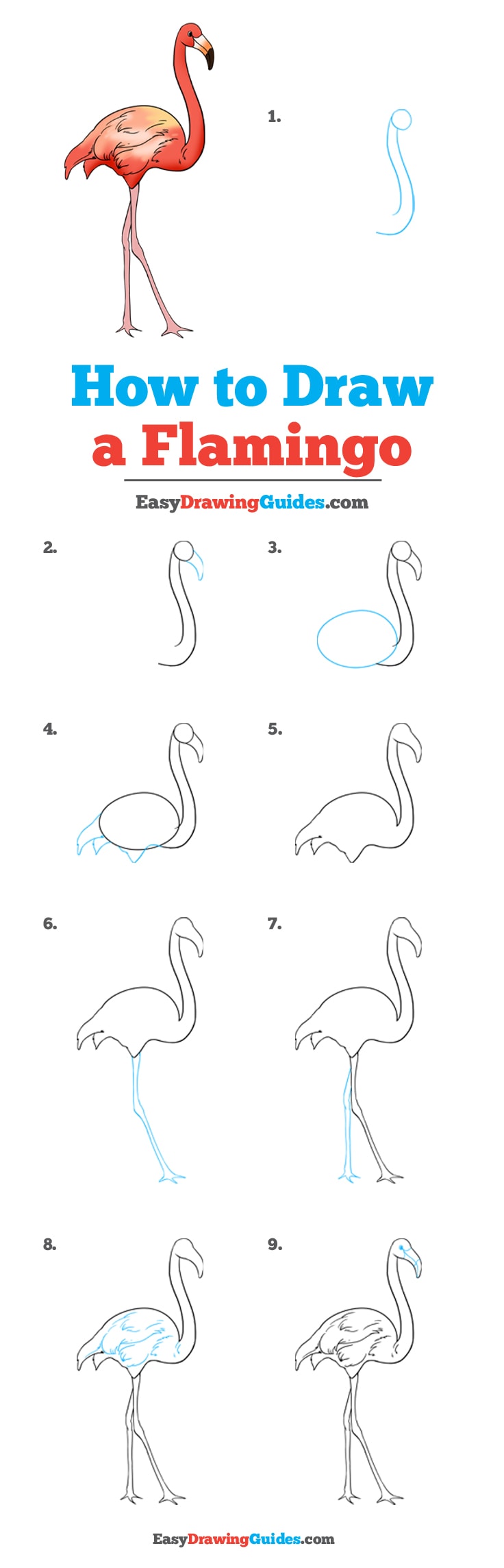 736x2288 How To Draw A Flamingo - Flamingo Drawing