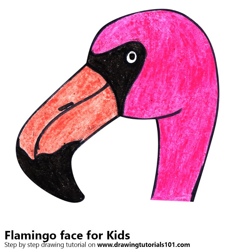 800x800 Learn How To Draw A Flamingo Face For Kids - Flamingo Drawing