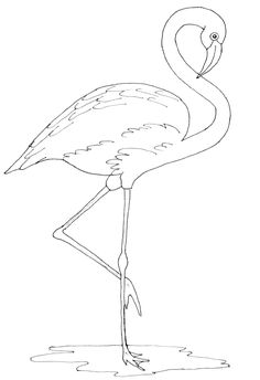236x344 Flamingo Outline How To Draw A Greater Flamingo Step - Flamingo Drawing Outline
