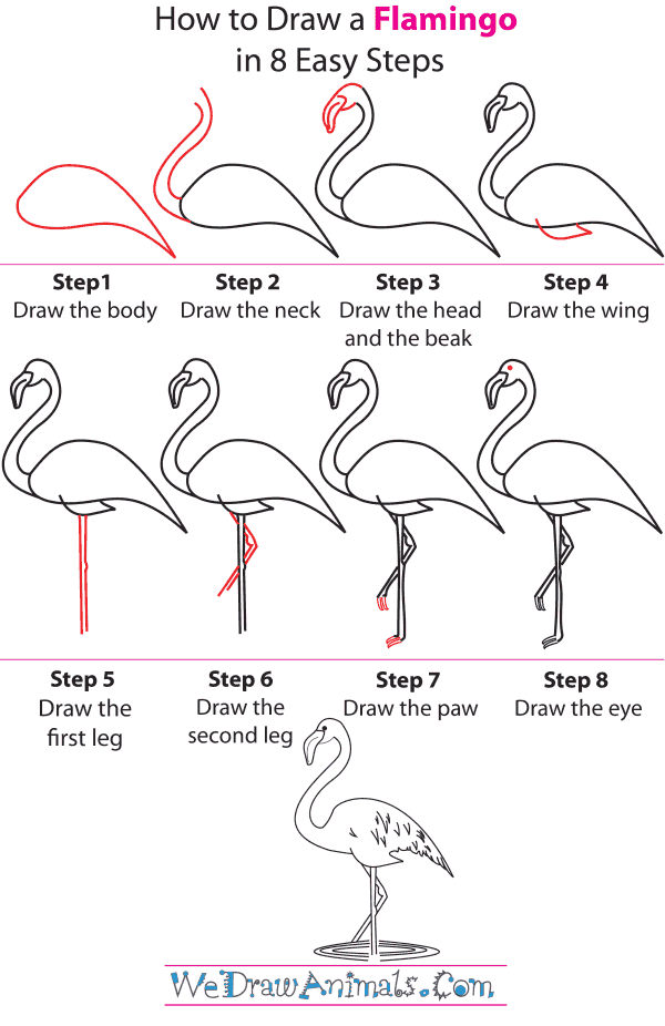 600x926 How To Draw A Flamingo - Flamingo Drawing Outline