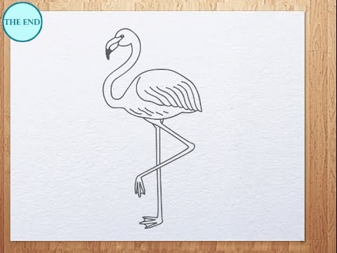 480x360 How To Draw Flamingo - Flamingo Drawing Outline