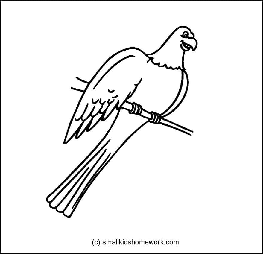 879x849 Simple Flamingo Drawing At Getdrawings Com Free - Flamingo Drawing Outline
