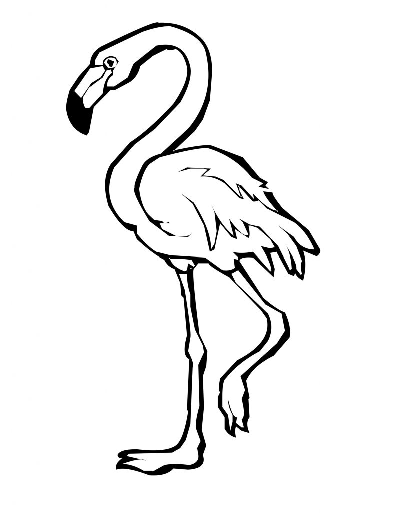 Flamingo Drawing Outline At PaintingValley.com | Explore Collection Of ...