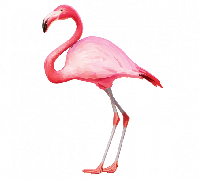 650x584 Collection Of Free Flamingo Drawing Crown Download On Ui Ex - Flamingo Drawing Template
