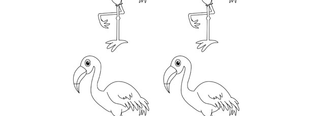 610x229 Flamingo Template Small - Flamingo Drawing Template